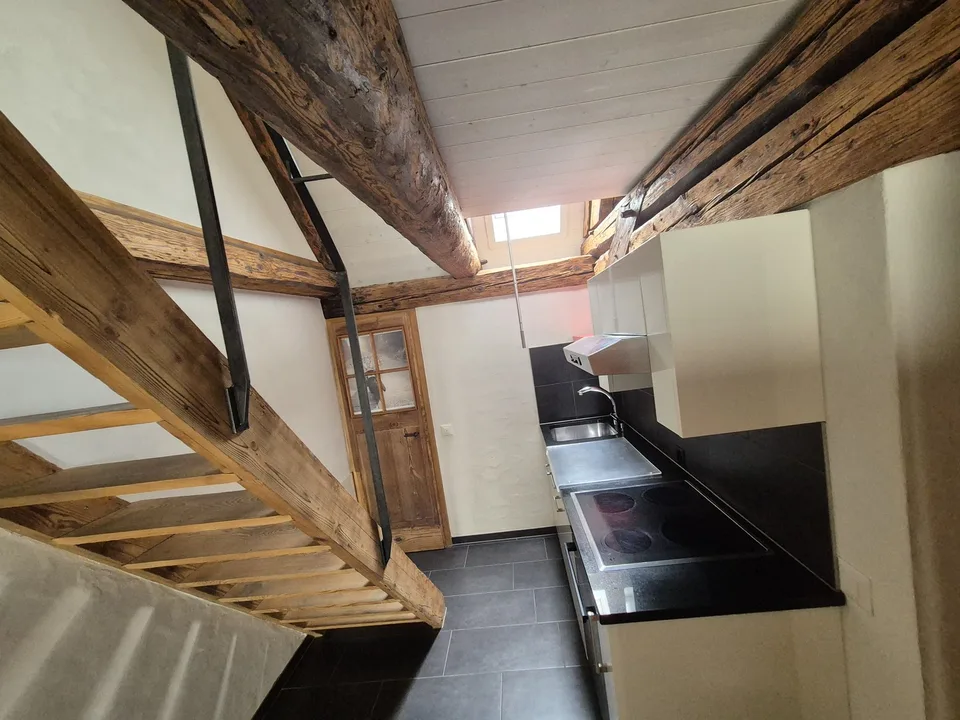 Top Wohnung über den Dächern von der Altstadt Schaffhausen