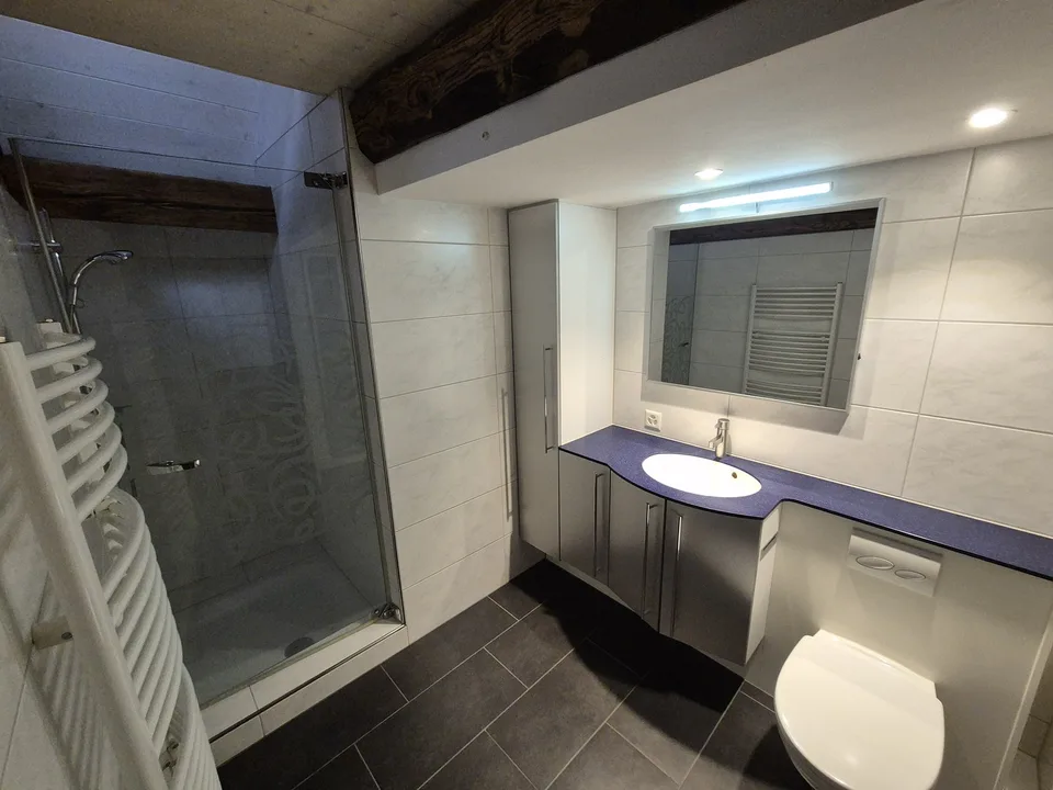 Top Wohnung über den Dächern von der Altstadt Schaffhausen