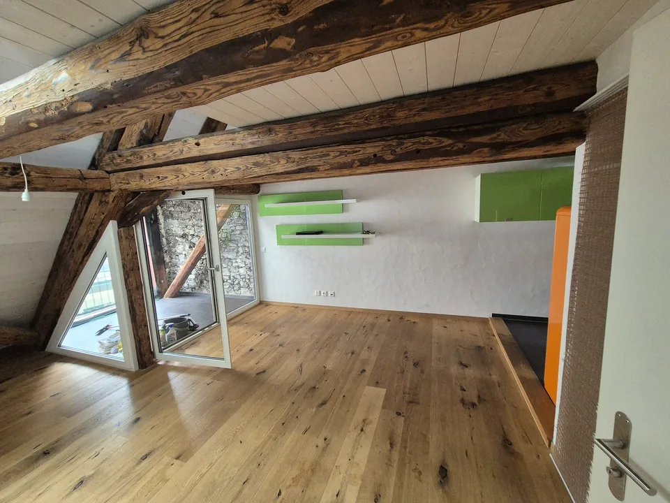 Top Wohnung über den Dächern von der Altstadt Schaffhausen