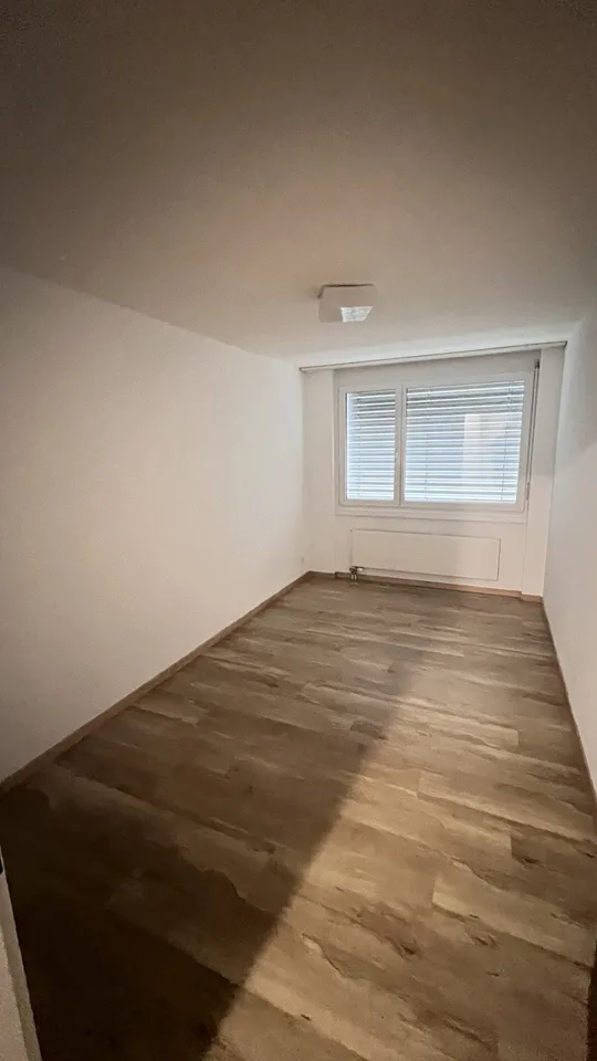 Altbau Wohnung