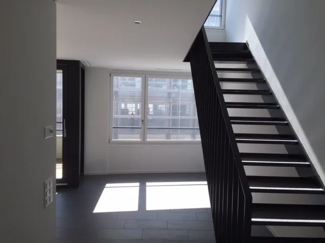 Modern Duplex Apartment with Balcony in Sihlcity area