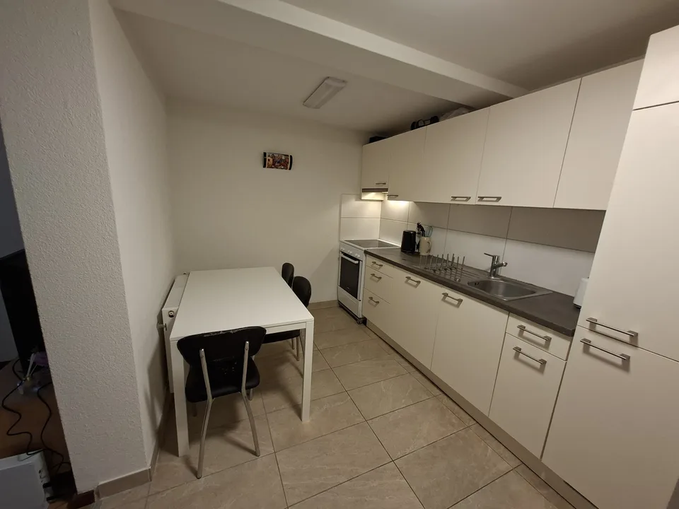 74m² appartment in Altstetten