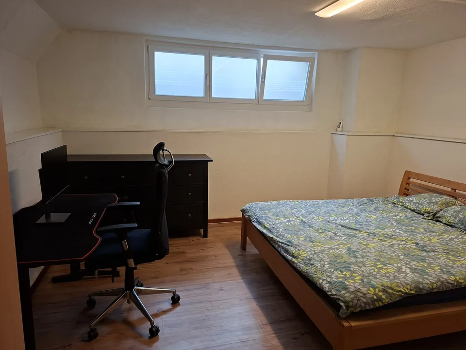 74m² appartment in Altstetten