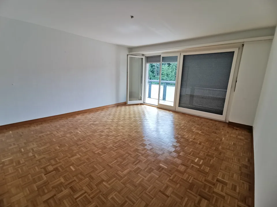 Renovierte 2 Zimmerwohnung mit Balkon, Waschmaschine und Parkplatz