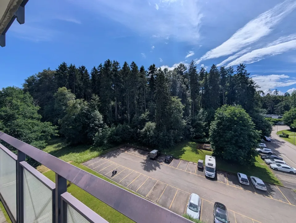 Renovierte 2 Zimmerwohnung mit Balkon, Waschmaschine und Parkplatz