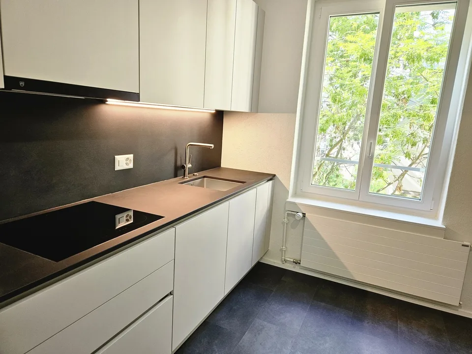 2.5 room flat in Wipkingen