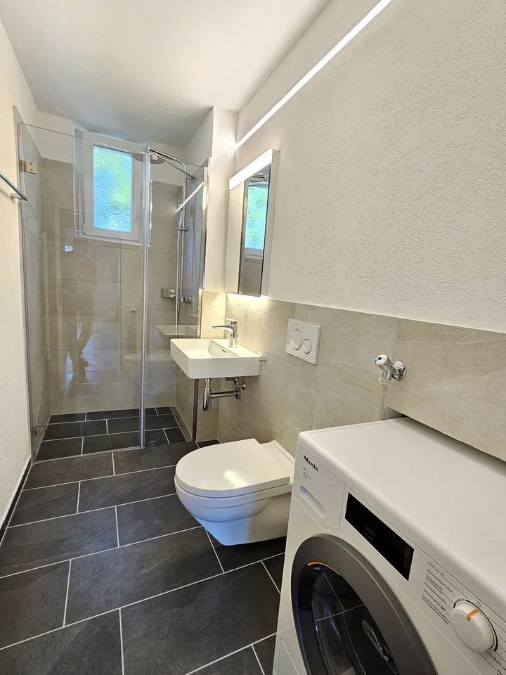 2.5 room flat in Wipkingen