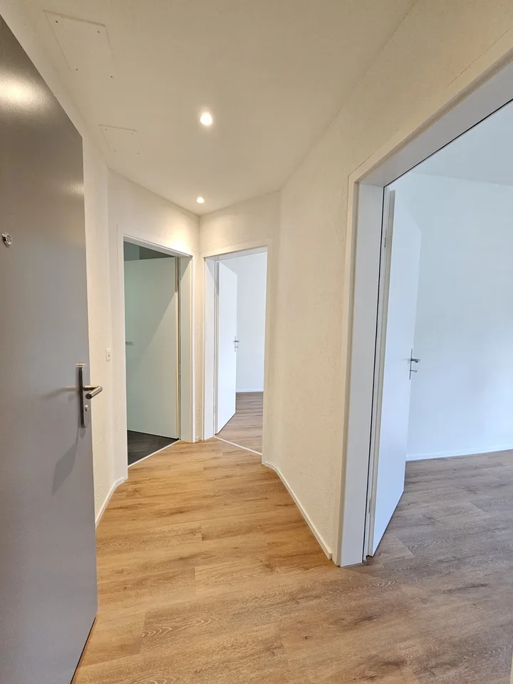 2.5 room flat in Wipkingen