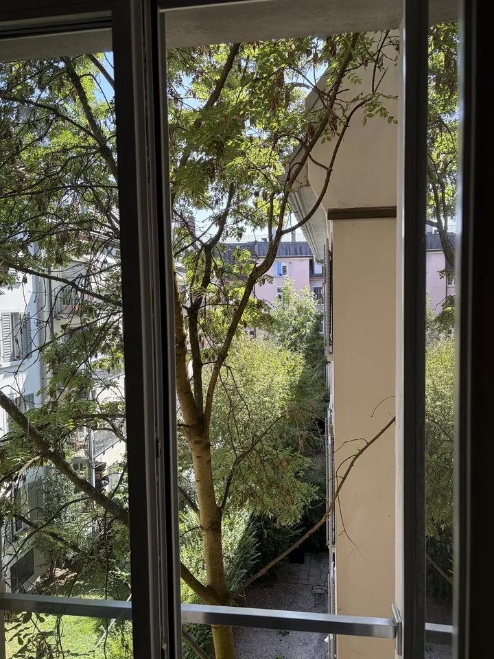 2.5 room flat in Wipkingen