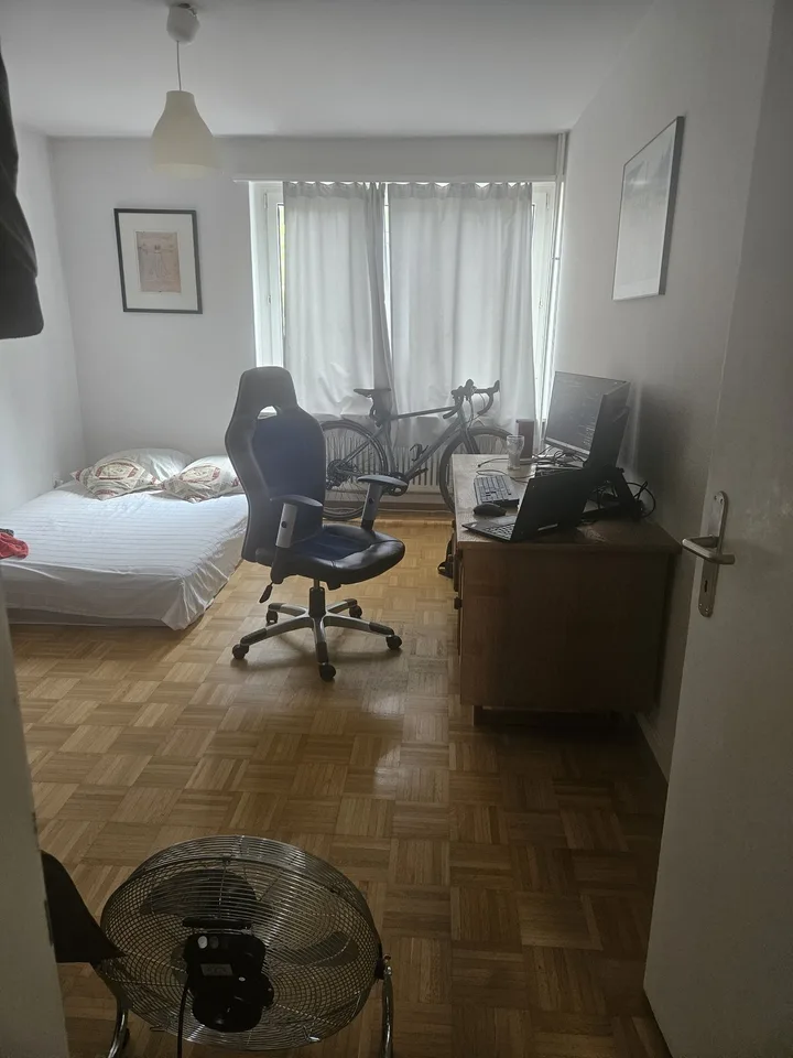 Cozy, Fully Furnished Apartment for Sublet, Near Albisriederplatz, Zurich