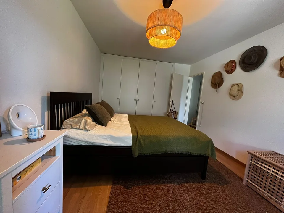 2.5 Apartment / Gemütliche Wohnung in Witikon, 15min von Central