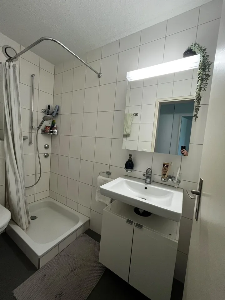 2.5 Apartment / Gemütliche Wohnung in Witikon, 15min von Central
