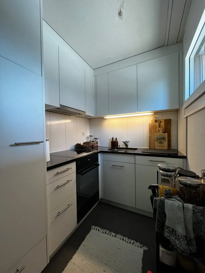 2.5 Apartment / Gemütliche Wohnung in Witikon, 15min von Central