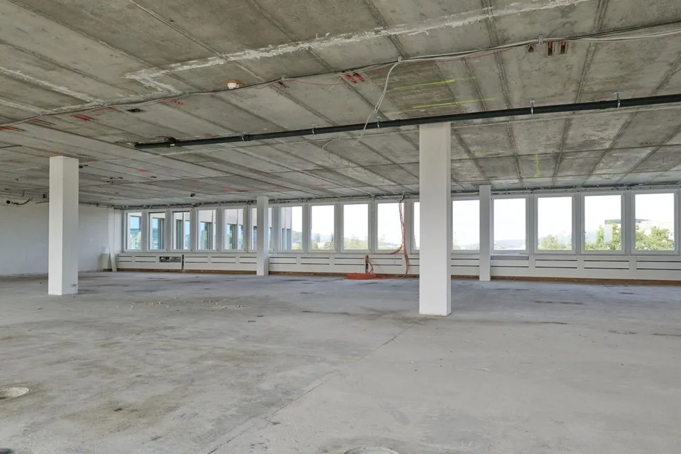 Friesenberg 75: Aussichtsreiches Arbeiten für mehr Erfolg