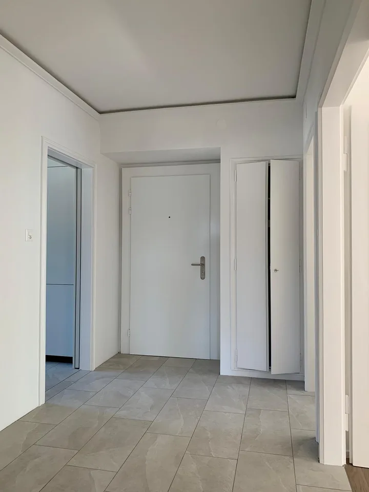 Grosszügige, stilvolle renovierte 3.5-Zimmer-Wohnung nahe Unispital / ETH