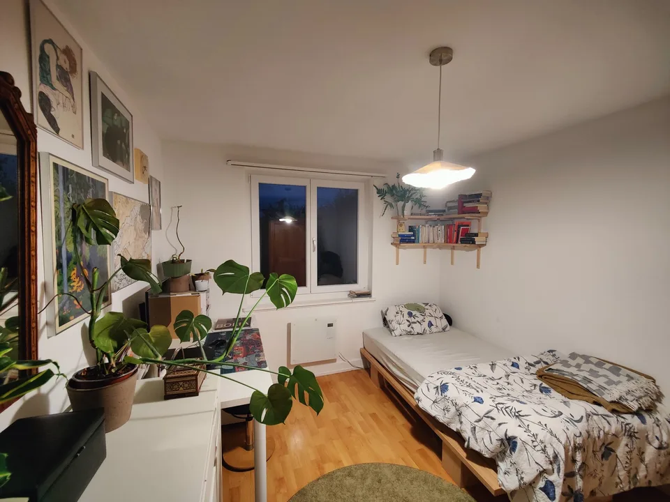 WG-Zimmer in Höngg