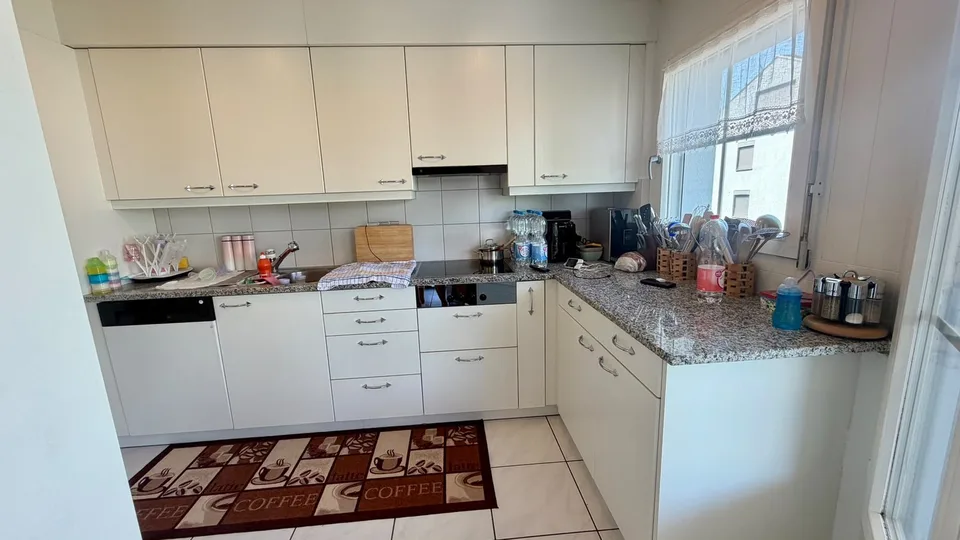 Downtown Sursee – ruhige 4.5 Zimmer Oase im Grünen – frisch renoviert