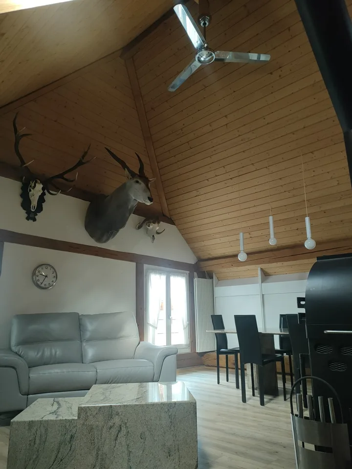 4,5 Zimmer Dachwohnung, 1750.- inkl. NK