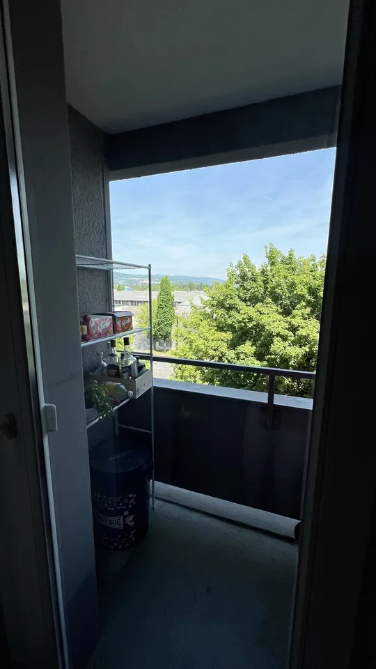 3,5 Zi. Wohnung befristet zu vermieten