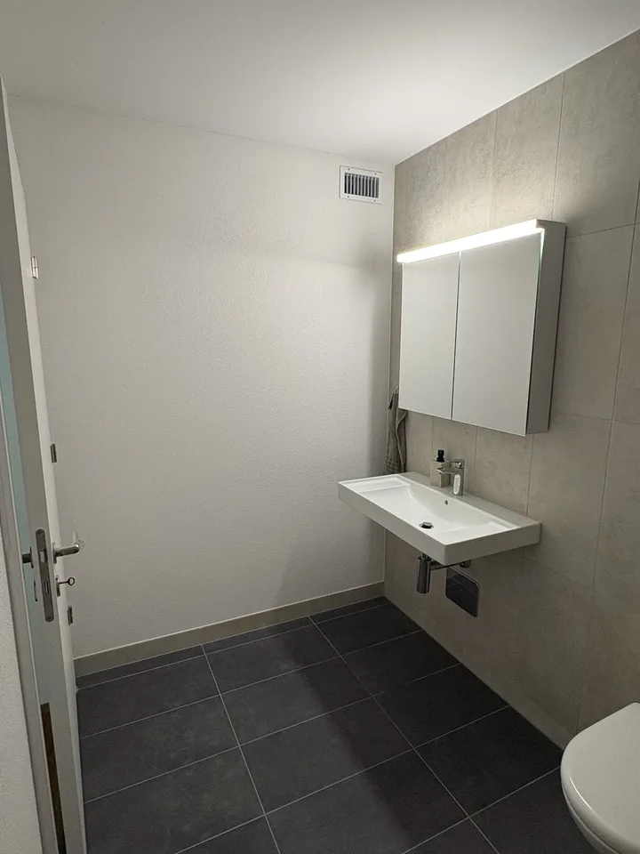 Neubauwohnung 2 1/2 Zimmer