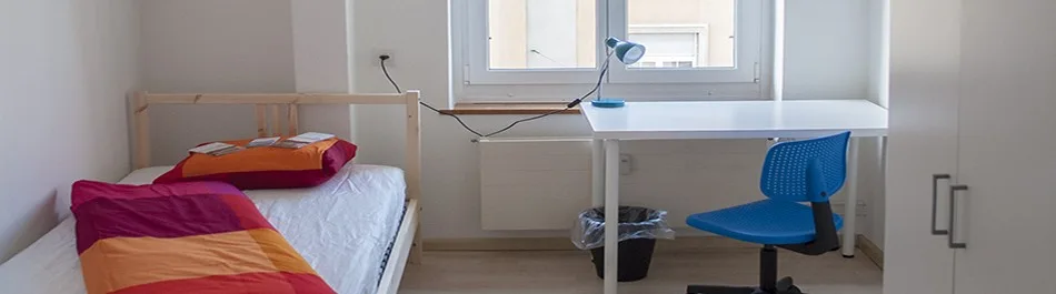 🏡 Bright, Fully Furnished Room in Basels Popular St. Johann District near Novartis Campus
