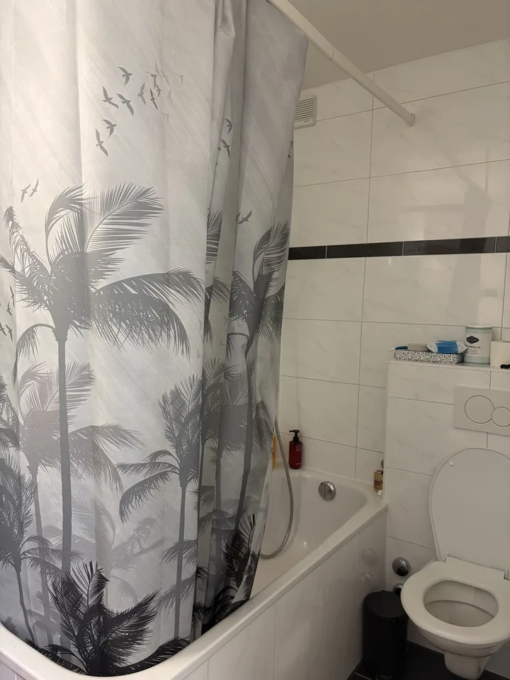 2.5 Apartment close to Rosental and Messeplatz