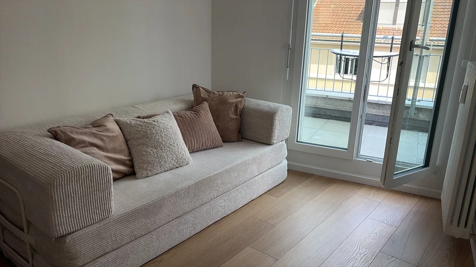 2.5 Apartment close to Rosental and Messeplatz