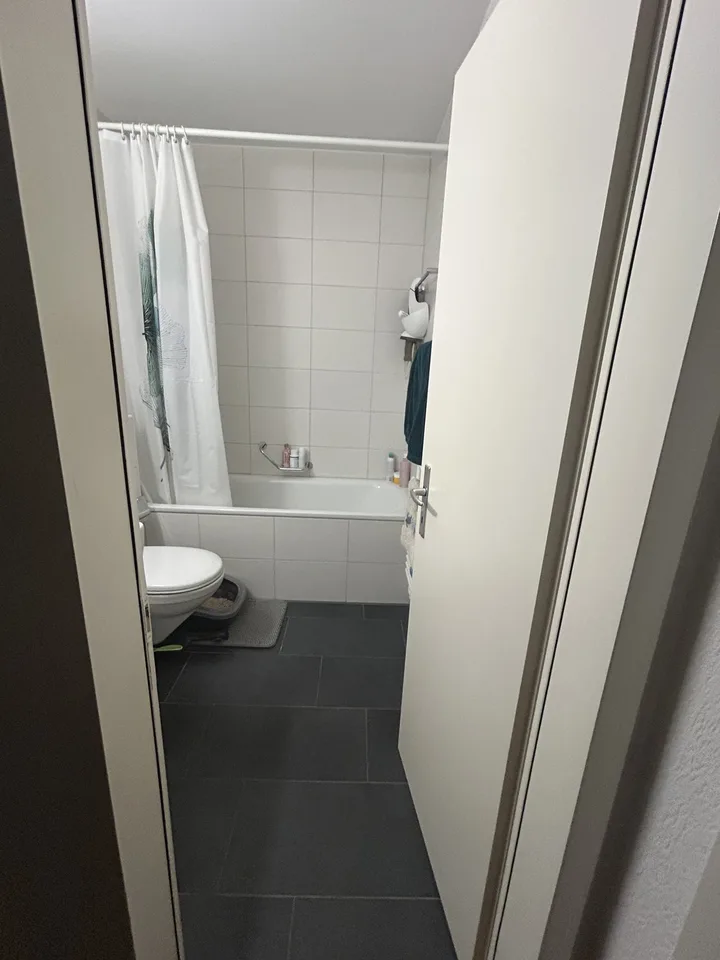 Nachmieter/in gesucht – 2-Zimmer-Wohnung mit 2 Balkonen in Bern