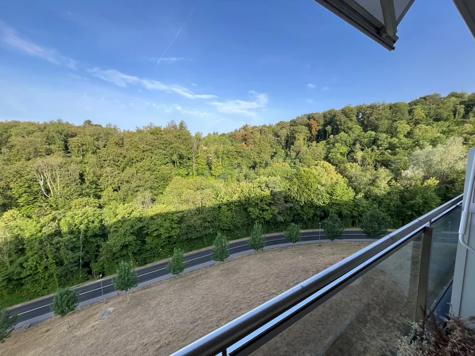 Route du Burenoz 43, 1092 Belmont sur Lausanne - CHF 2’514 inkl. NK pro Monat