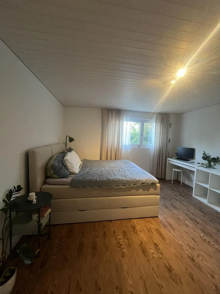 Charmante 2-Zimmer-Wohnung in Sursee – Nähe See 🌿