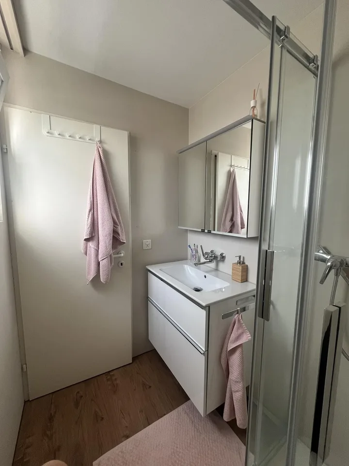 Charmante 2-Zimmer-Wohnung in Sursee – Nähe See 🌿