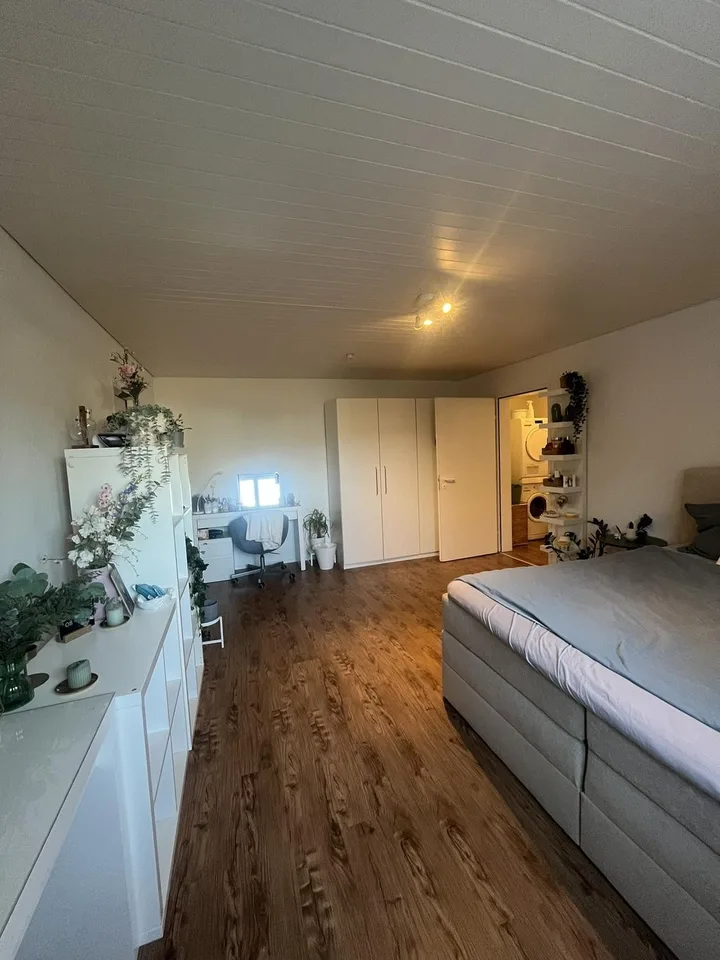 Charmante 2-Zimmer-Wohnung in Sursee – Nähe See 🌿
