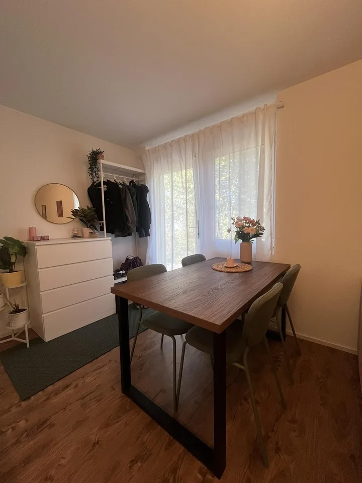 Charmante 2-Zimmer-Wohnung in Sursee – Nähe See 🌿