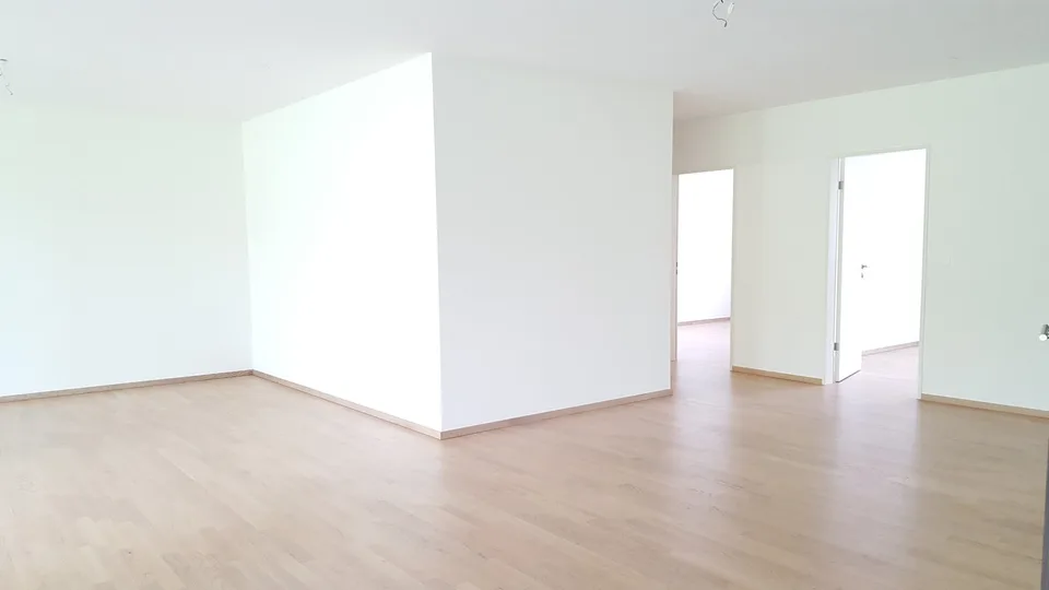 Wunderschöne 3.5-Zimmerwohnung sucht Sie !