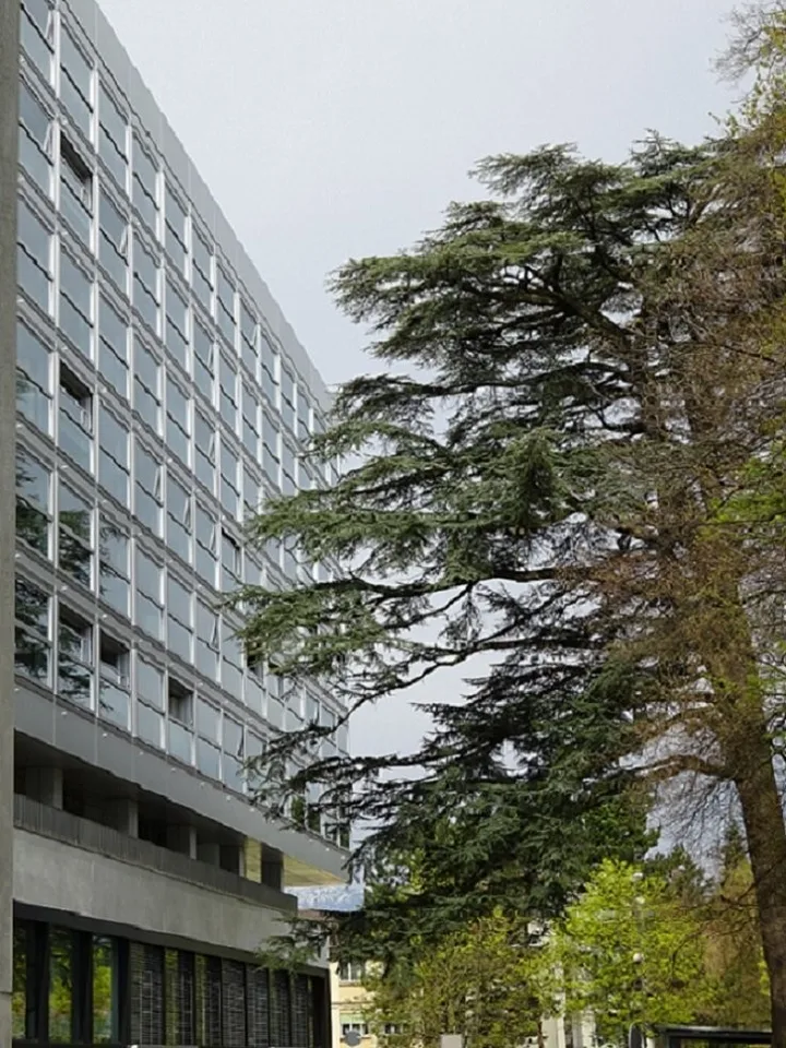 AVENUE DU BOUCHET 10 - Appartement de 3 pièces au 3e étage