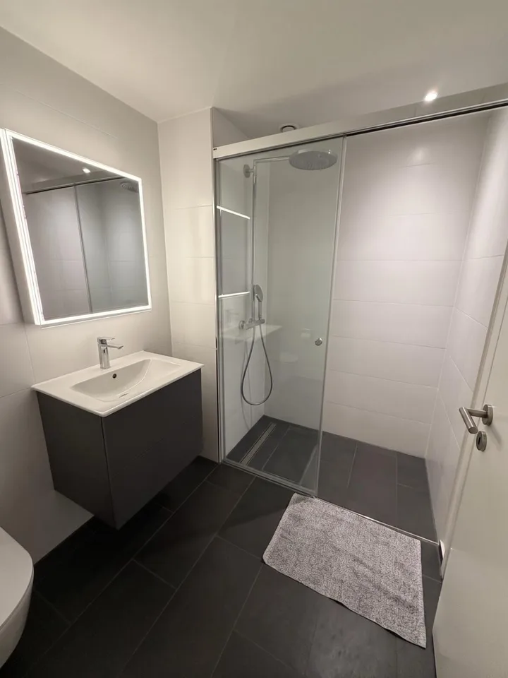 „Exklusive 4.5-Zimmer-Wohnung in Eigentumsstandard – atemberaubender Ausblick auf den Rheinfall"