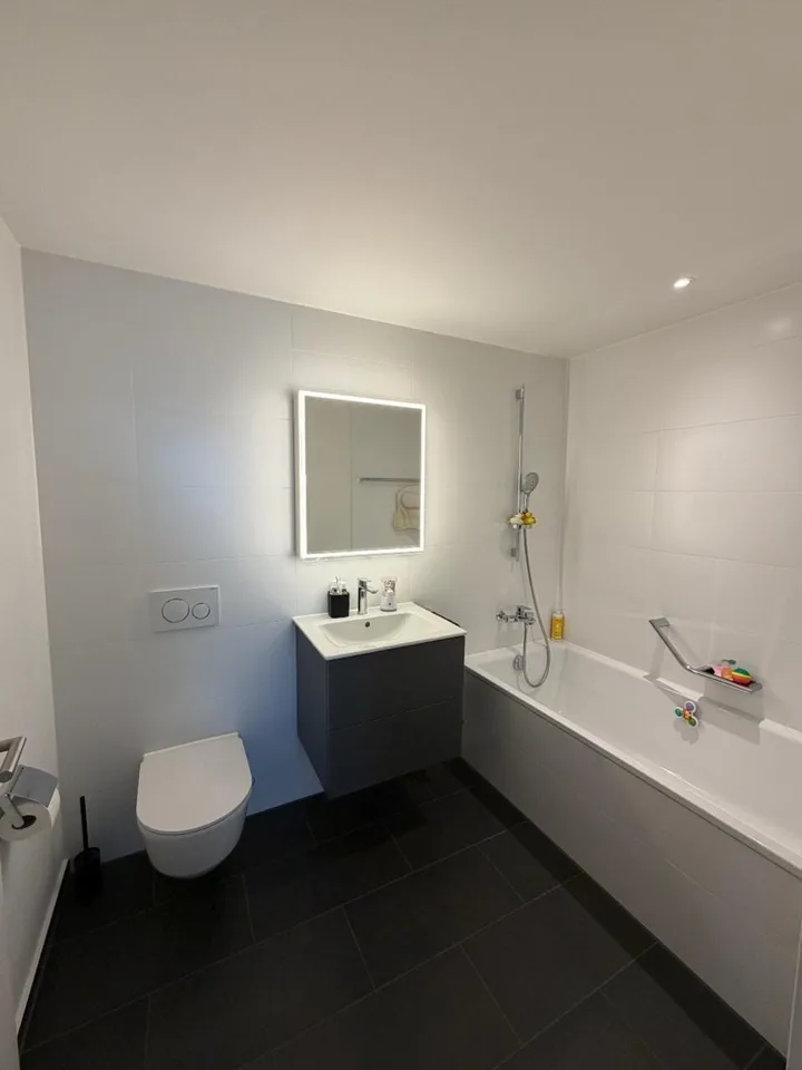„Exklusive 4.5-Zimmer-Wohnung in Eigentumsstandard – atemberaubender Ausblick auf den Rheinfall"