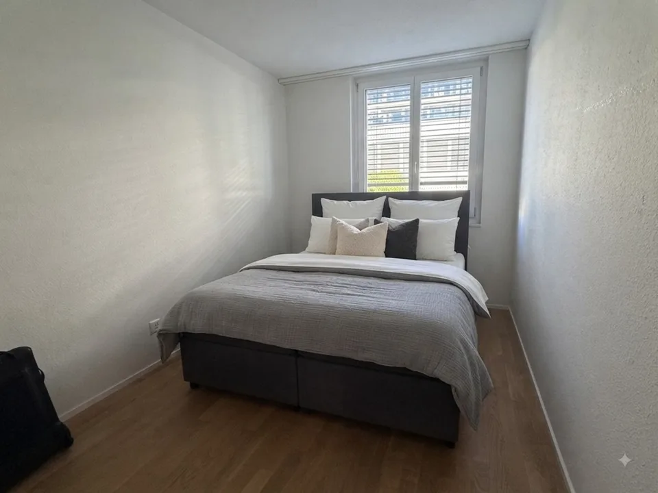 Temporary Rental – 3 Months Winterthur
