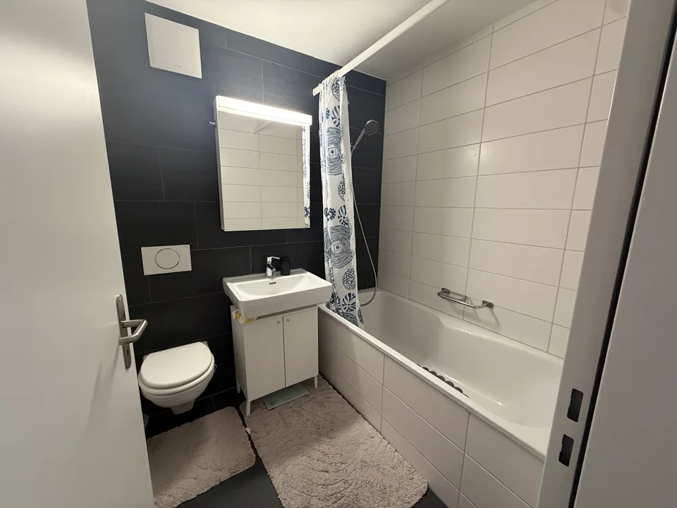 Temporary Rental – 3 Months Winterthur