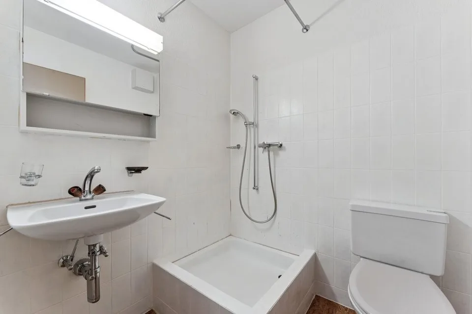 4.5 room apartment with winter garden - rented until 31.10.2026