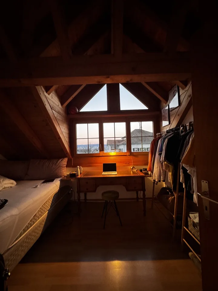 Dachwohnung im Herzen von Wädenswil