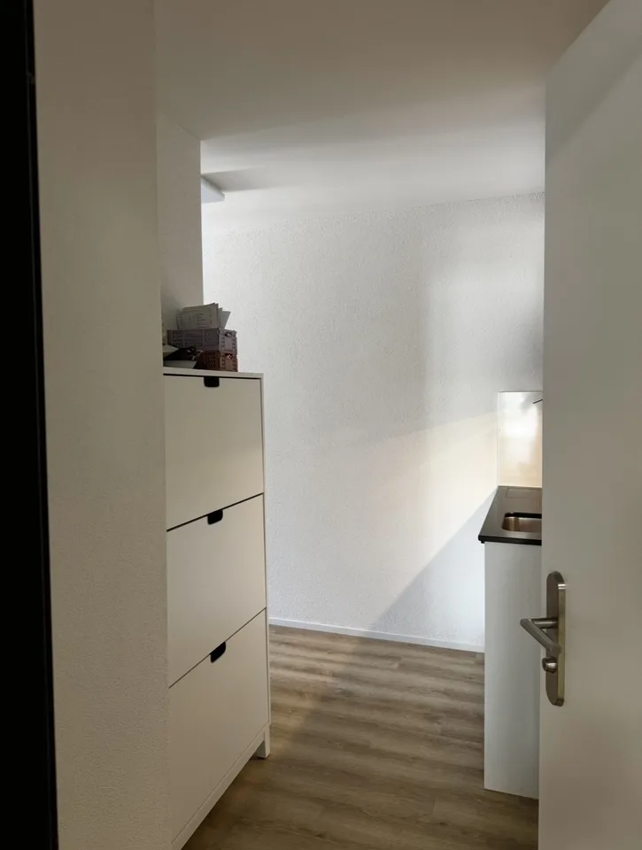 Rent a 1,5 rooms apartment in Zürich