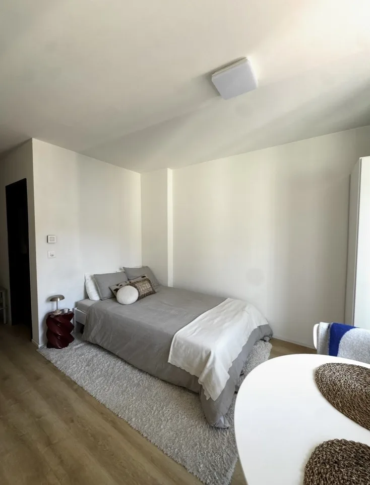Rent a 1,5 rooms apartment in Zürich
