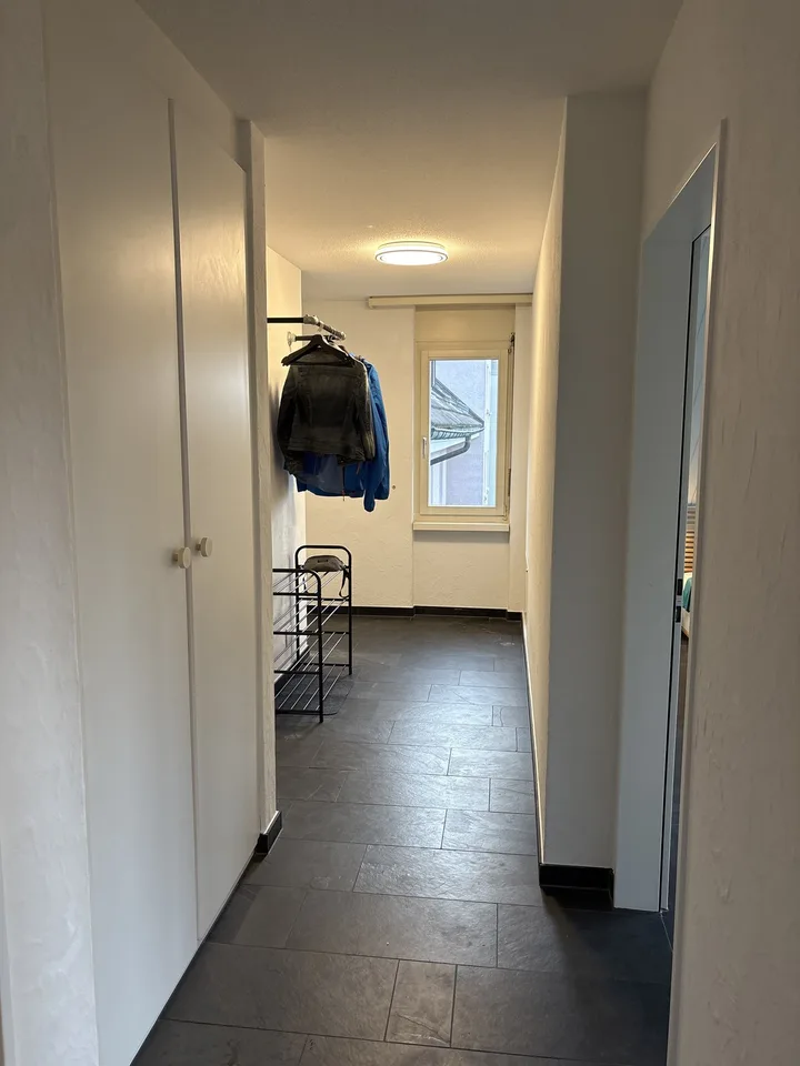 Exclusive, Fully Furnished 3.5-Room Gallery Apartment with Balcony and Fireplace in Schwerzenbach