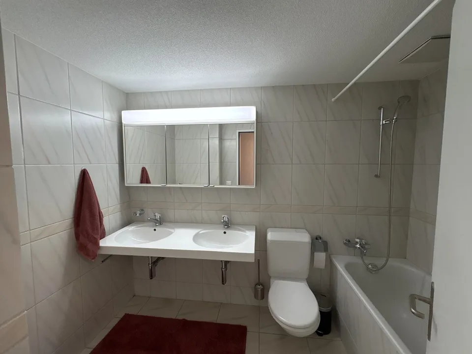Exclusive, Fully Furnished 3.5-Room Gallery Apartment with Balcony and Fireplace in Schwerzenbach