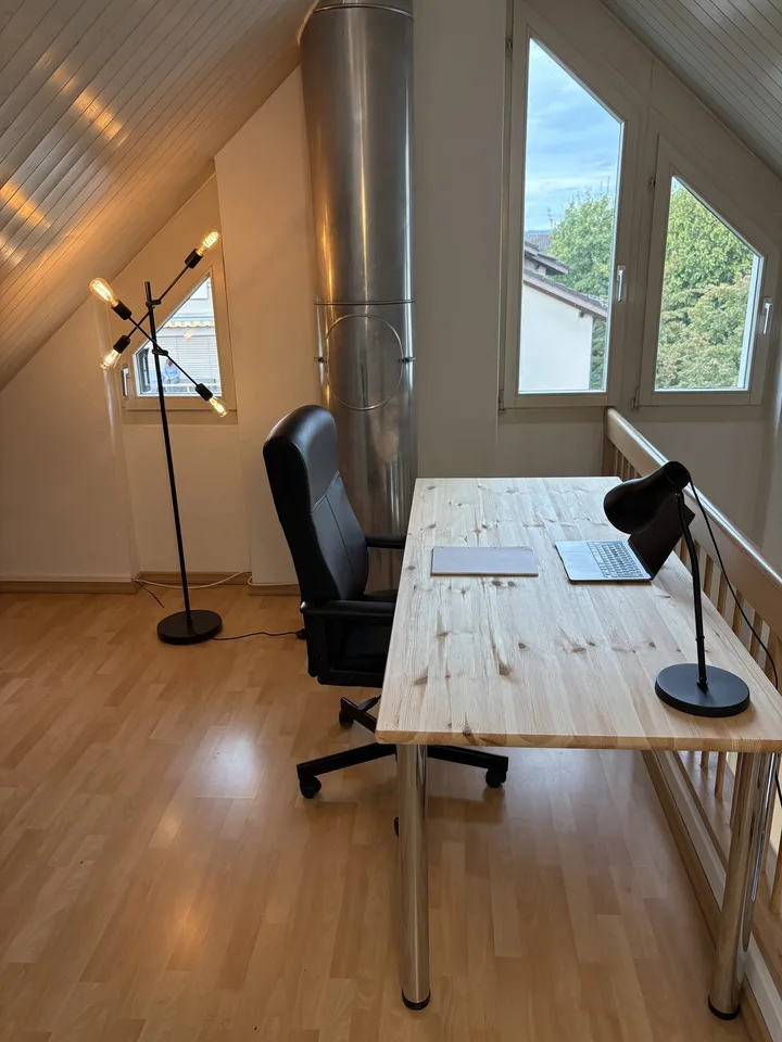 Exclusive, Fully Furnished 3.5-Room Gallery Apartment with Balcony and Fireplace in Schwerzenbach