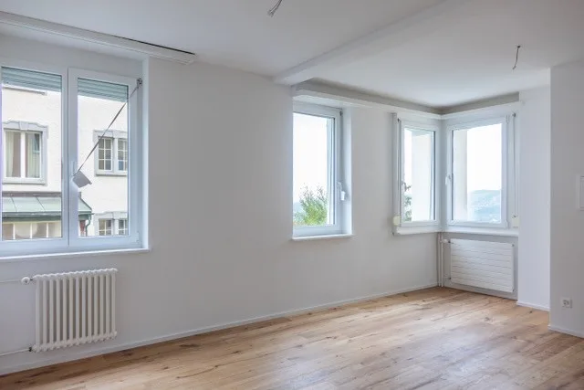 Sanierte 1.5-Zimmer Wohnung, Riethüsliquartier