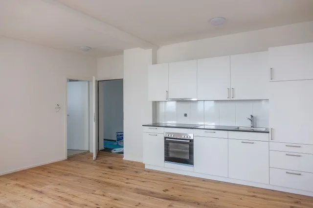 Sanierte 1.5-Zimmer Wohnung, Riethüsliquartier