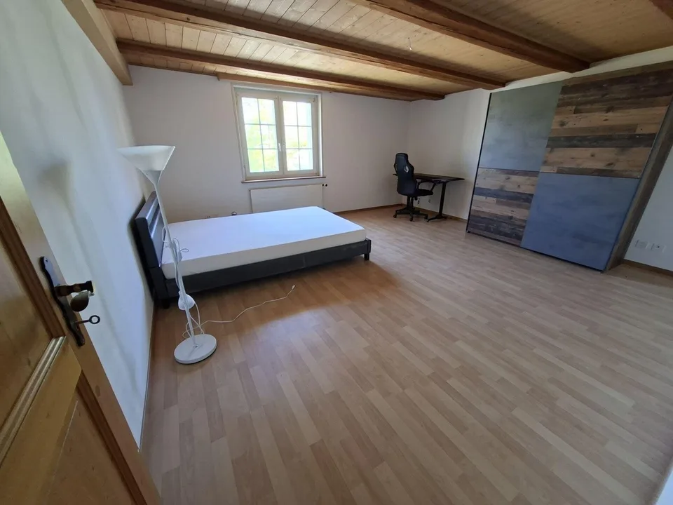 Gemütliches, grosses, möbliertes WG-Zimmer mit Gartensitzplatz