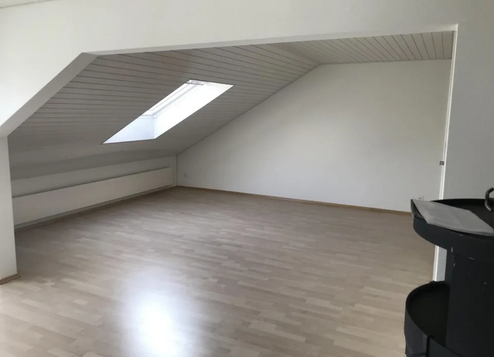helle 2 1/2 Zimmer-Wohnung mit Balkon und Chminee